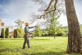 Best Lawn Disease Treatment  in Exander City, AL